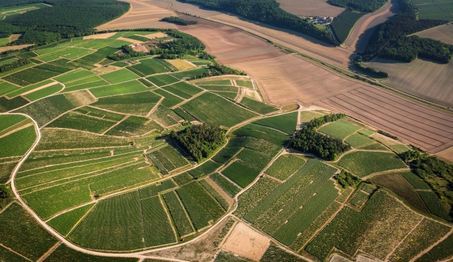 沃格洛/Vosgros,沃吉霍/Vaugiraut